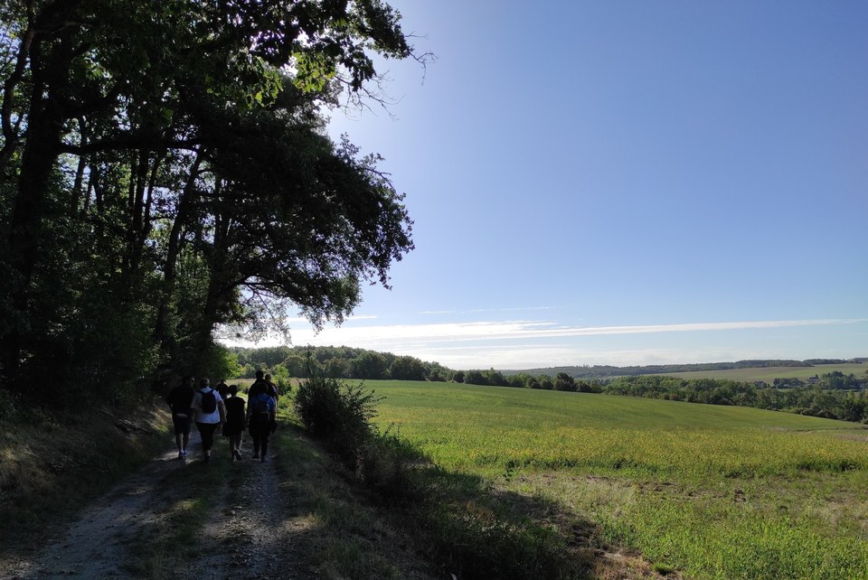 Le Vignoble AOC Touraine Azay-le-Rideau et ses domaines