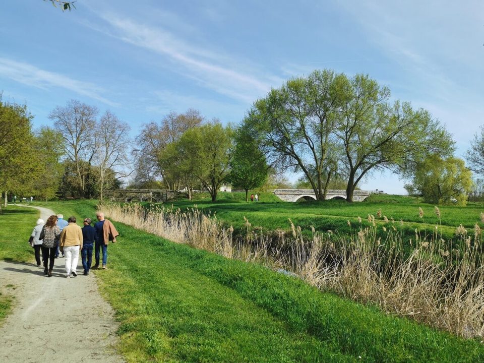 Entre rivière et forêt - Corné