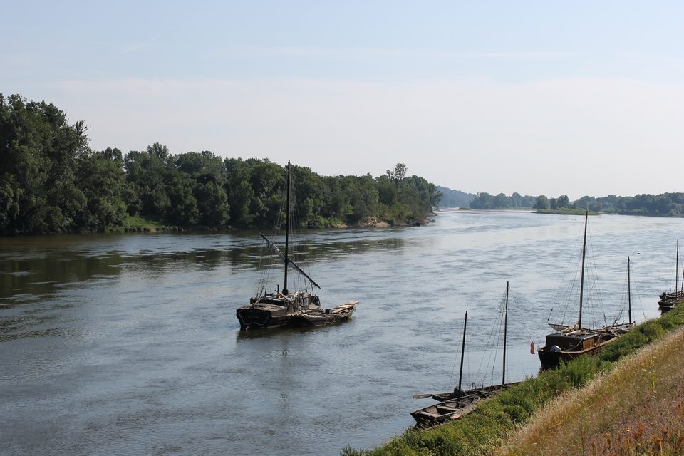 Bord de Loire - Bréhémont