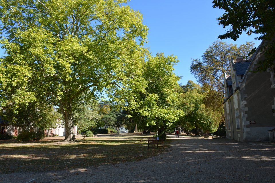 À l'ombre des chênes centenaires