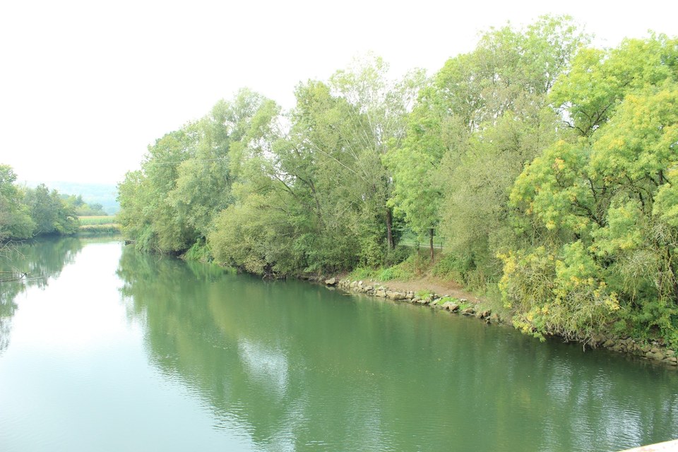 PHOTO DU BAS (1)
