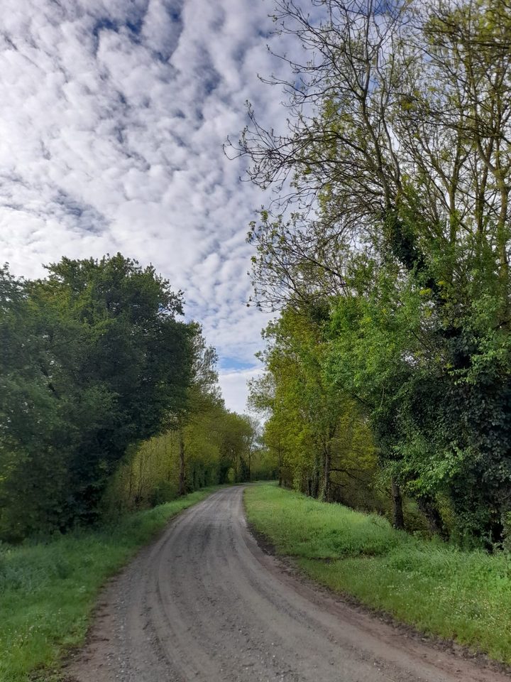 Les près des Illons - Corné