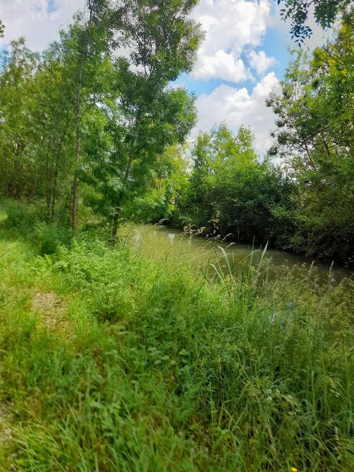 Entre marais et ardoises - Brain-sur-l'Authion