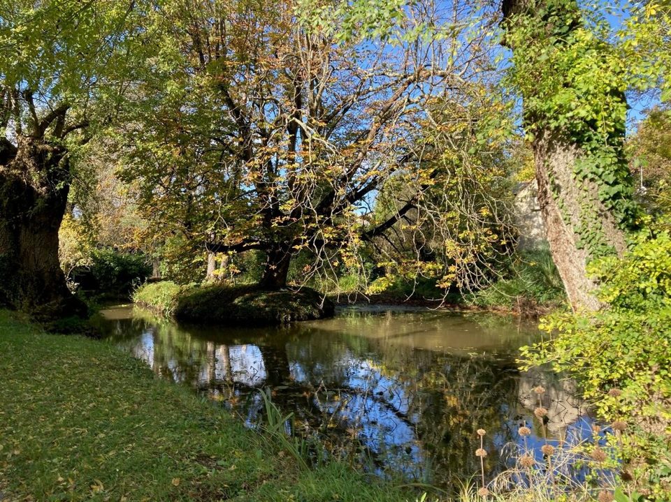 Sentier La ronde des arbres