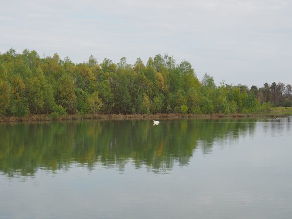 P1010014
