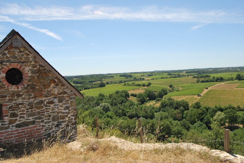 LPO - Réserve Naturelle Régional - Beaulieu-sur-Layon
