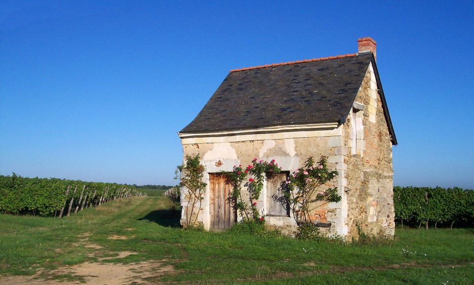 Circuit cabanes de vignes - CCLLA