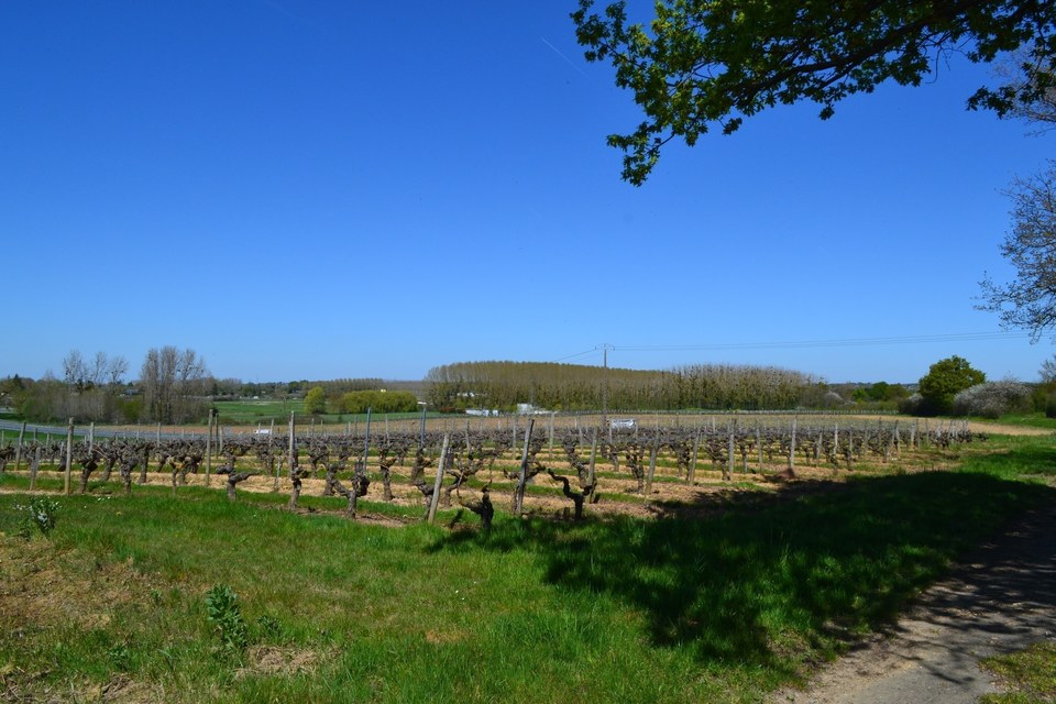Circuit du Moulin du Ras
