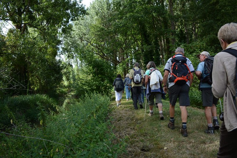 Randonneurs dans la forêt
