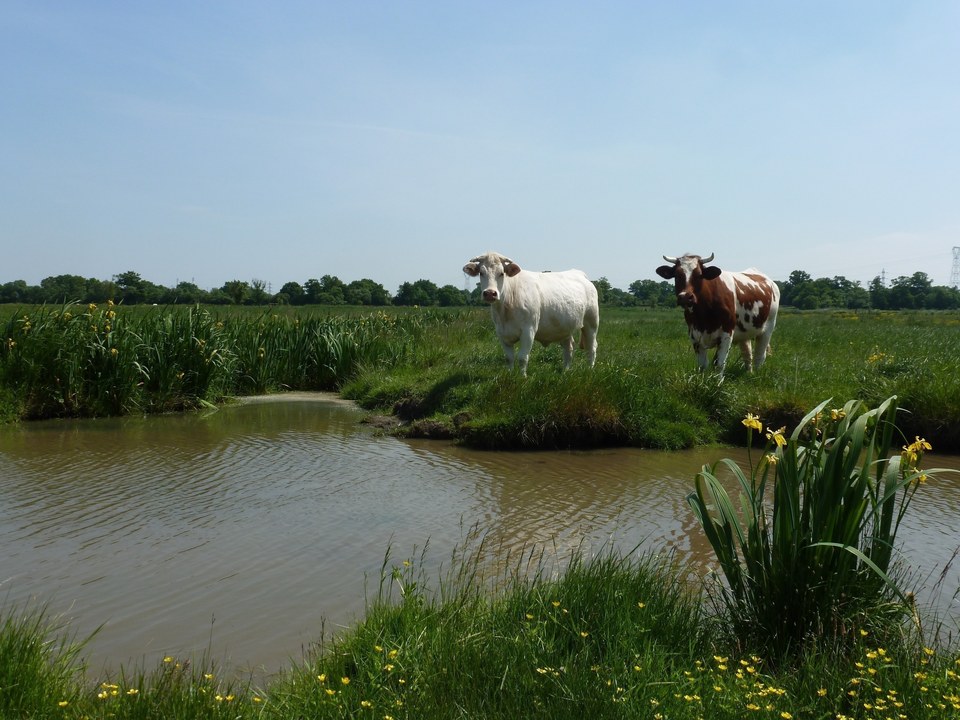 Sentier du Marais de la Roche