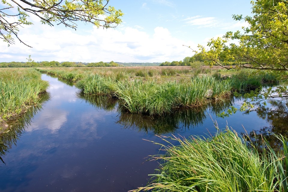 Sentier du Marais de la Roche