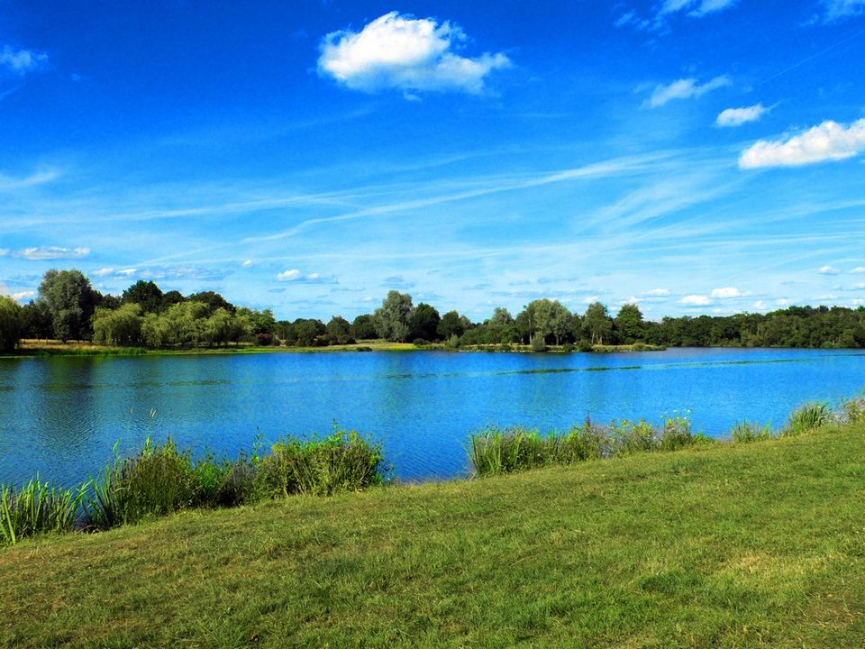SAFFRE_Bout-de-Bois-1