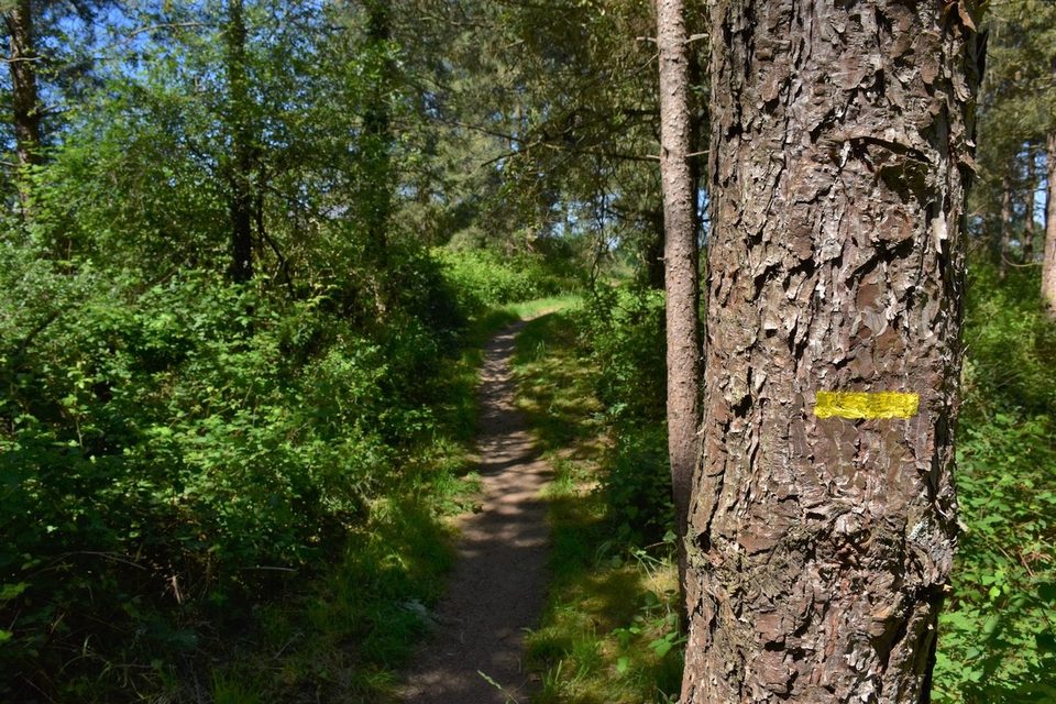 Balisage du sentier de randonnée "La Chalandière et le Brivet"