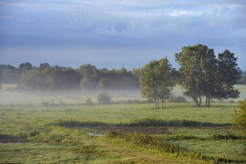 MARAIS2_BRAINS_StephanMenoret-VilledeNantes