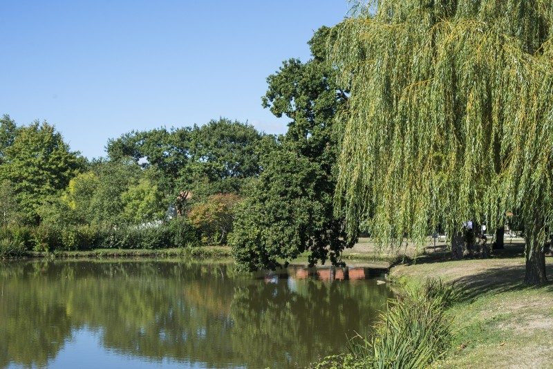 Parc de Loisirs - Chauvé_1