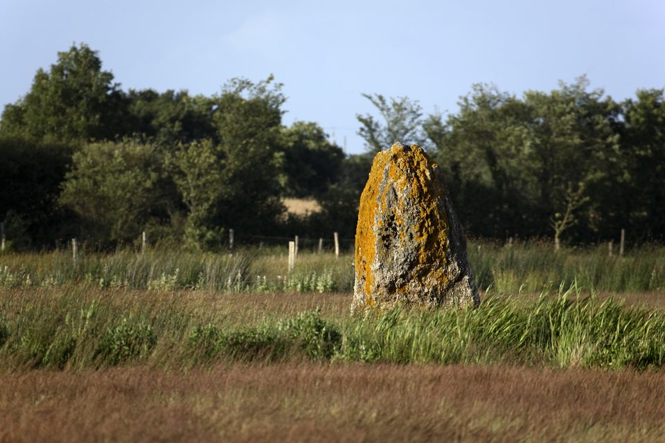 les-menhirs-douaud-5353_3
