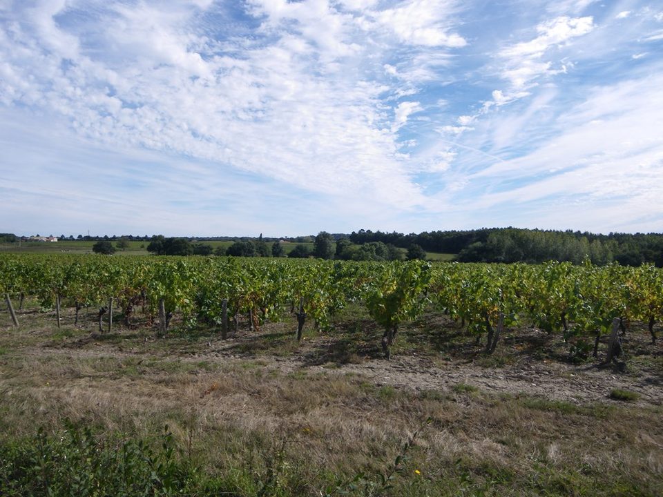 circuit-hte-chapelle-LCBM-levignoblenantes-tour (5)