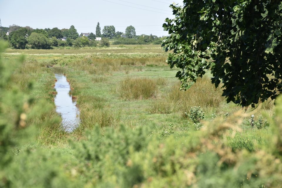 Sentier de randonnée "Le Coin Carré"