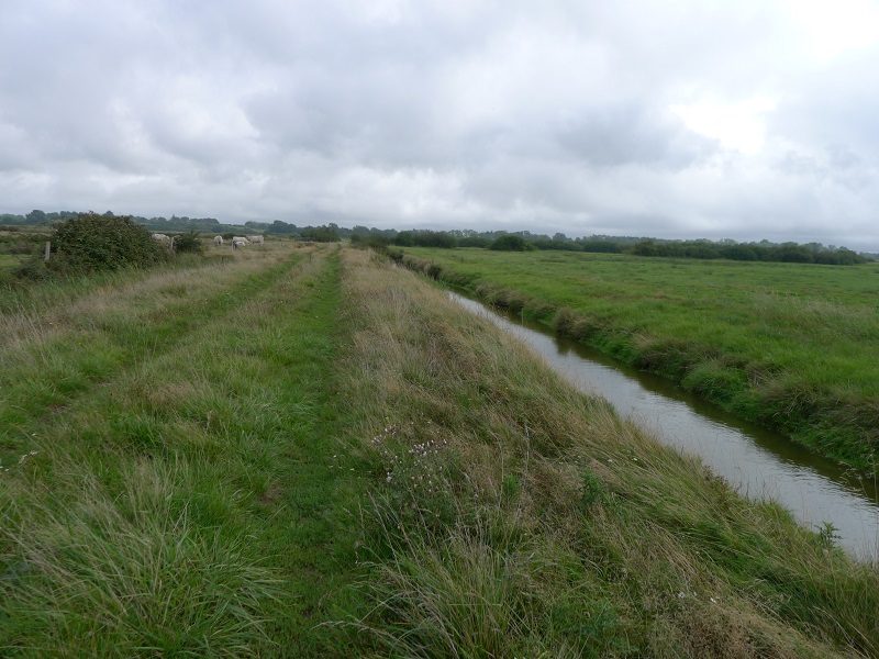 les-marais-de-maca-2