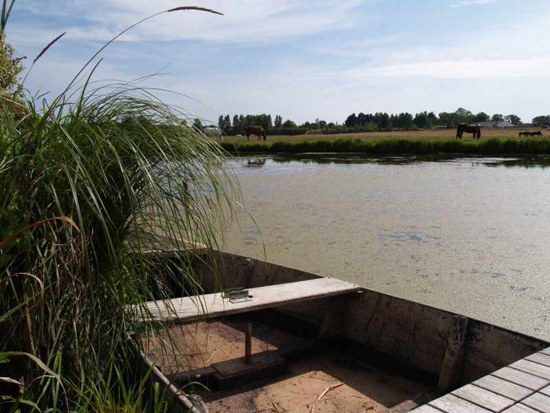 Le Brivet_2