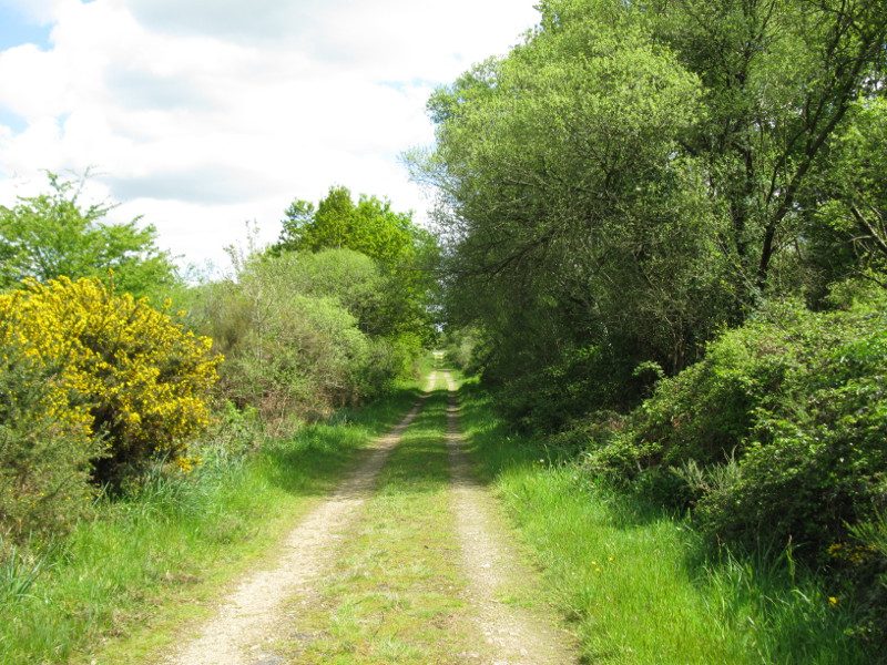 sentier_2