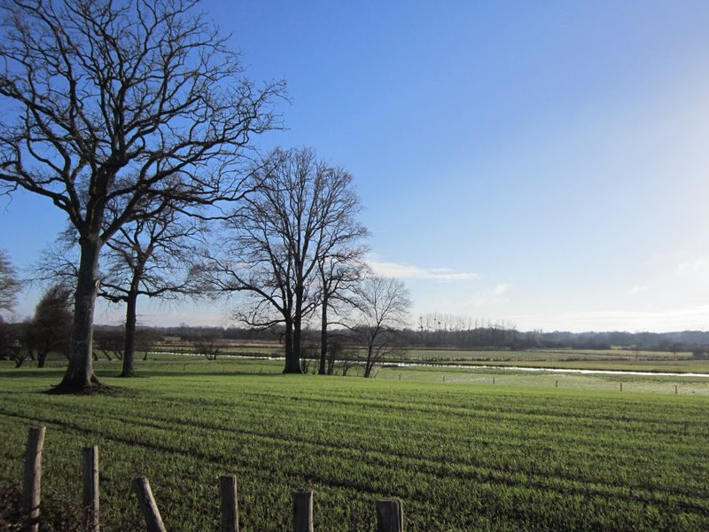 Sentier du Haut Brivet_1