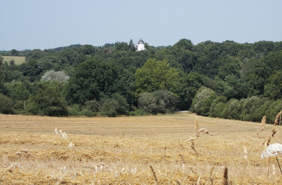 Circuit_des_moulins_moulin_favriere