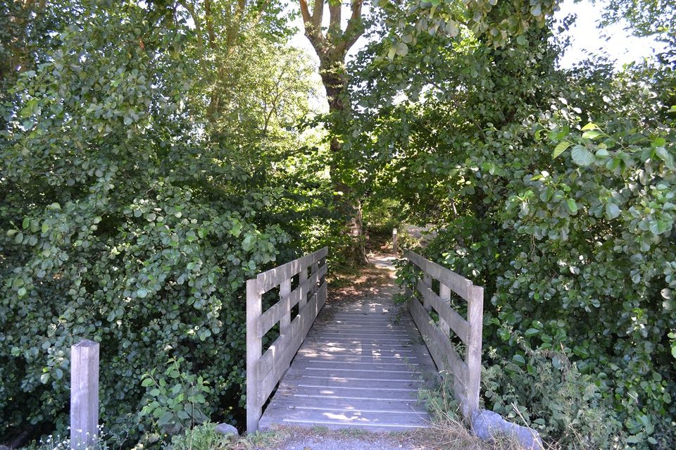 Des Etangs