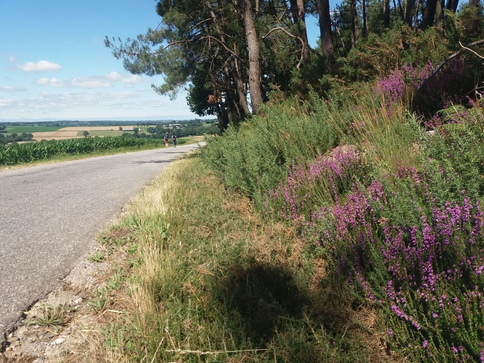 En chemin, circuit de la Vallée du Don _2