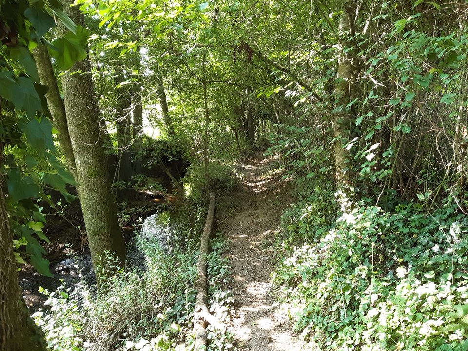 Circuit du Moulin Barbet (12)
