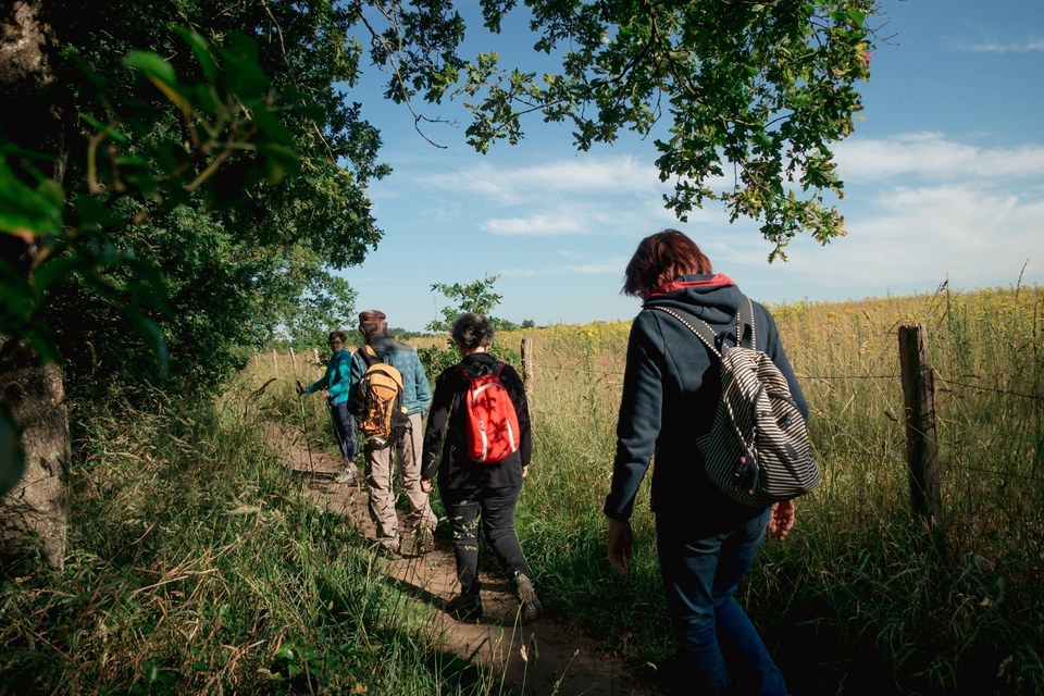 Sentier de la Vallée Mismy