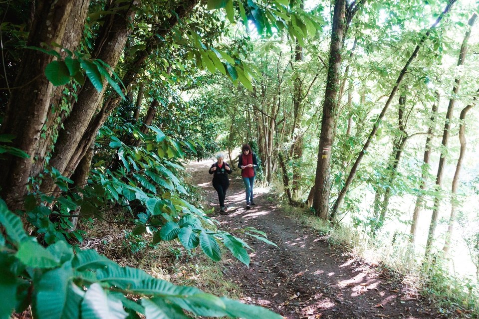 Sentier de la Vallée Mismy - La Chapelle-Launay