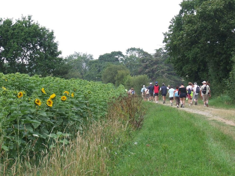La campagne de la ranndonnée de la Tabardière_3
