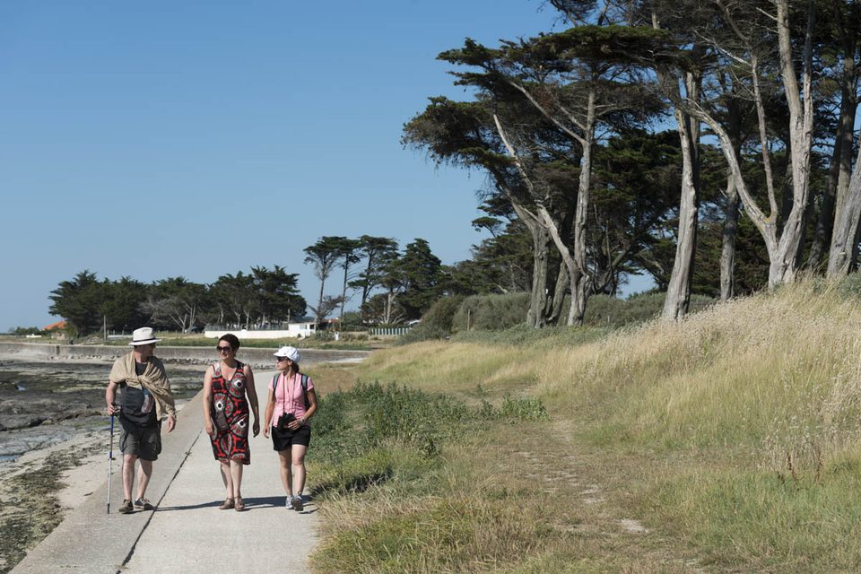 Randonnée pédestre à La Prée - La Plaine-sur-Mer_3