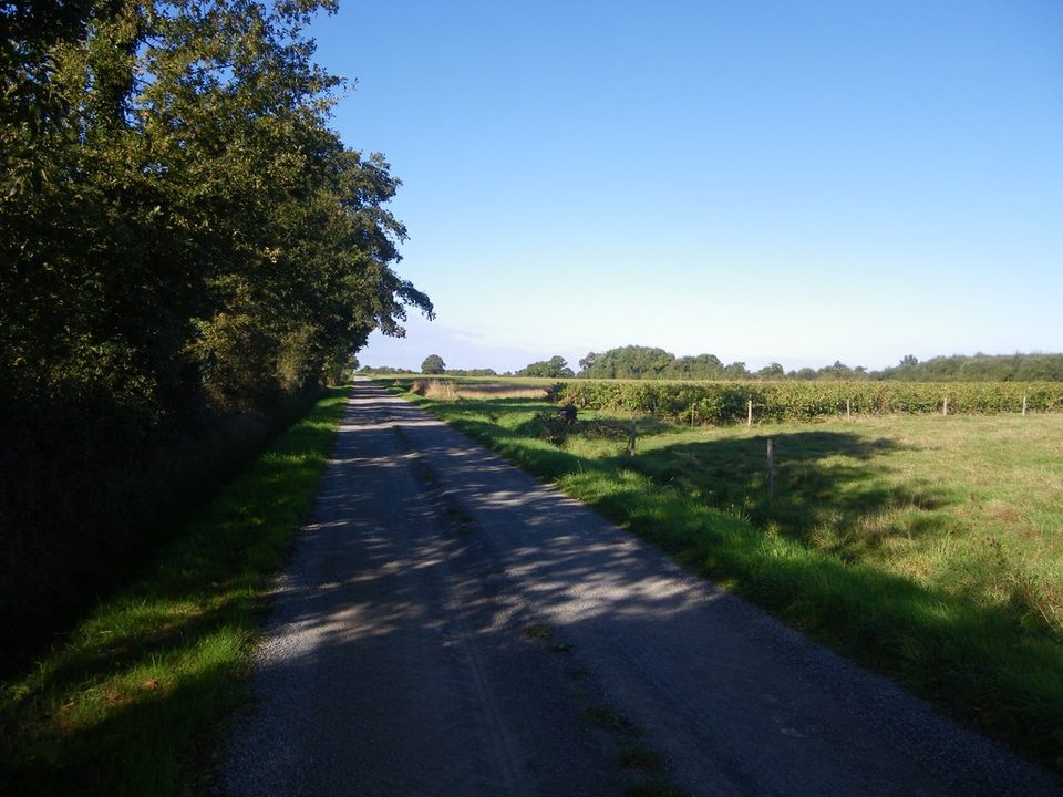 circuit-gabelous-la-regrippiere-levignobledenantes-tourisme(2) [1024x768]
