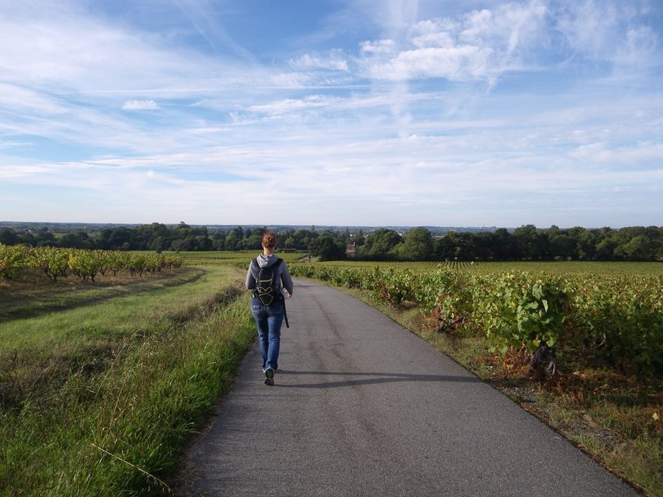 circuit-les-piliers-le-landreau-levignoblenantes-tourisme (7)