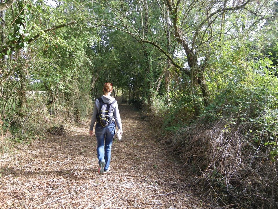 circuit-les-piliers-le-landreau-levignoblenantes-tourisme (2)