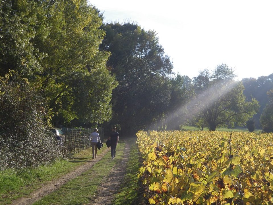circuit-sevre-lepallet-levignoblenantes-tourisme (2)