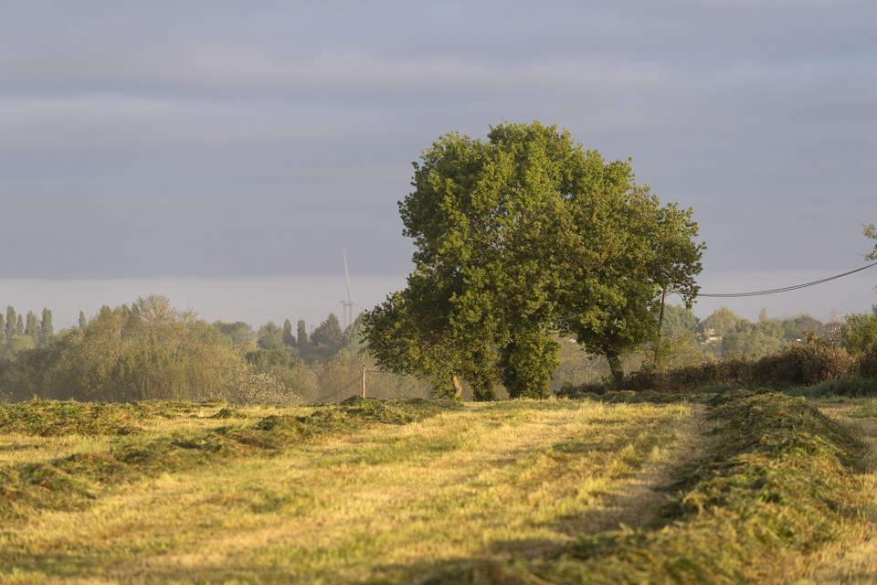 campagnepellerin-Stephan Menoret-Ville de Nantes