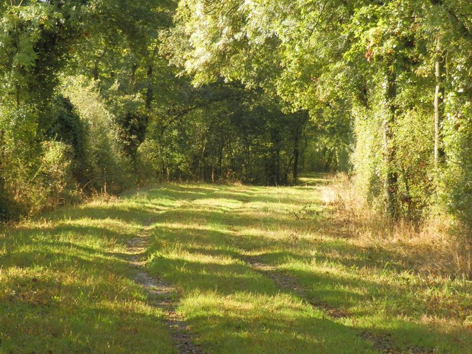 La Chauminette