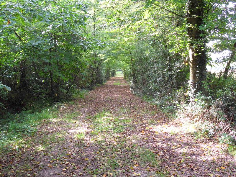 sentier_2
