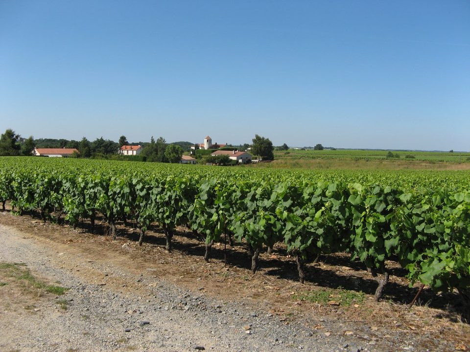 circuit-galloromain-mouzillon-levignobledenantes-tourisme(2)
