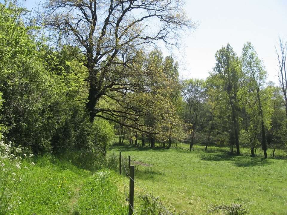 circuit-galloromain-mouzillon-levignobledenantes-tourisme(3)
