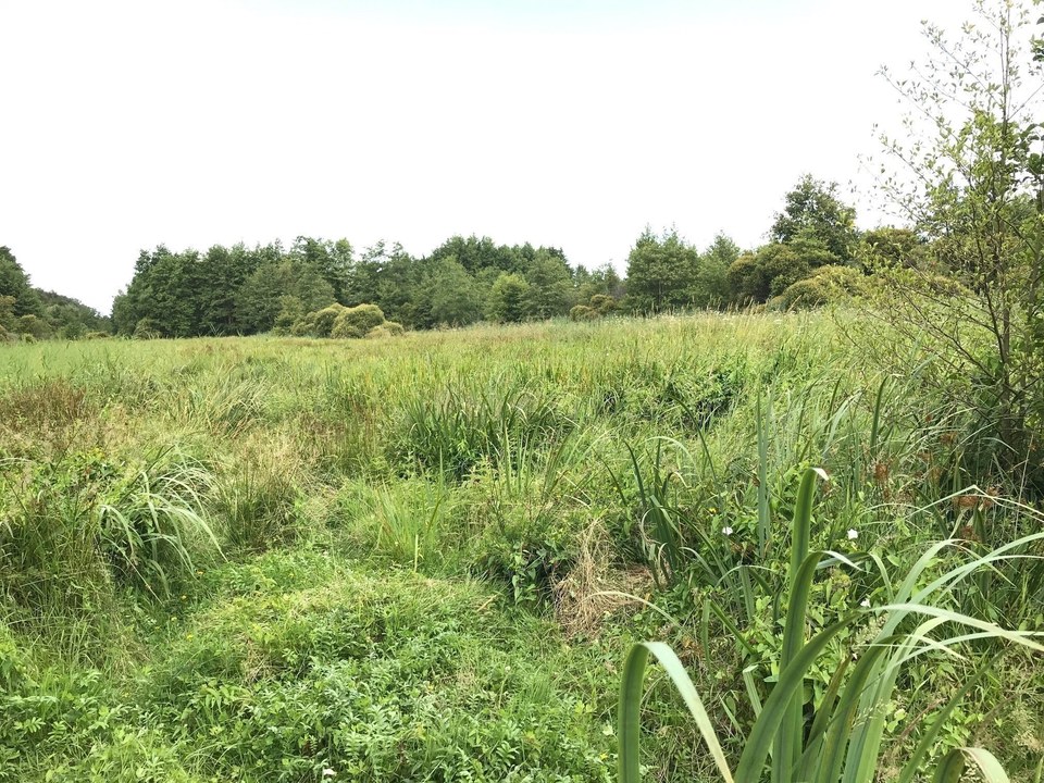 Les Marais de Blanche Noë