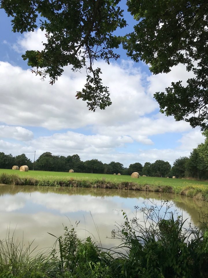 marais de Blanche Noë