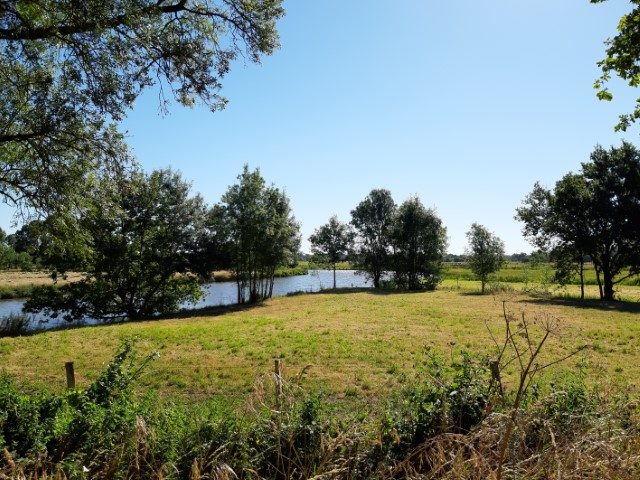 Petit coin tranquille _3
