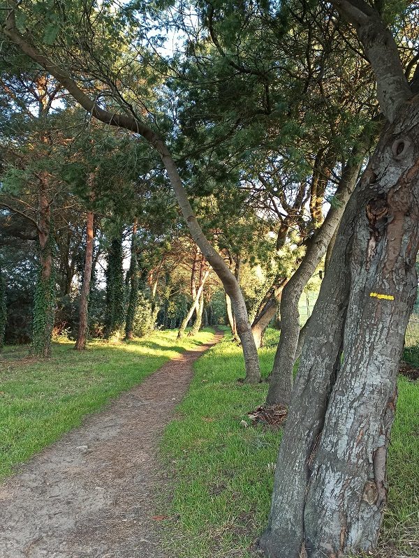 gr8-circuit-estuaire-ot-st-brevin-5347_2