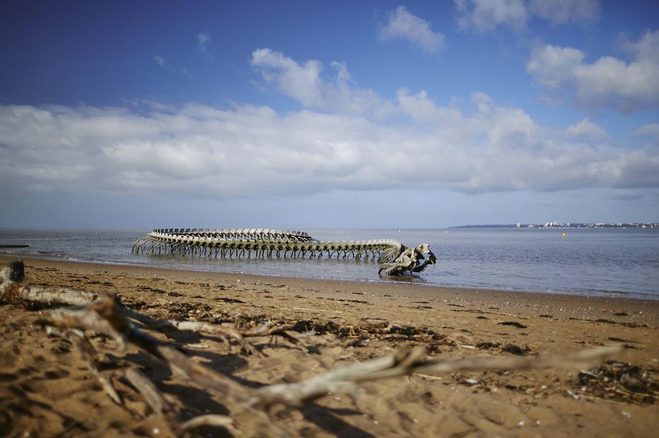 randonnees-st-brevin-sud-estuaire-ccse-loire-atlantique-estuaire-loire-2-1500_3