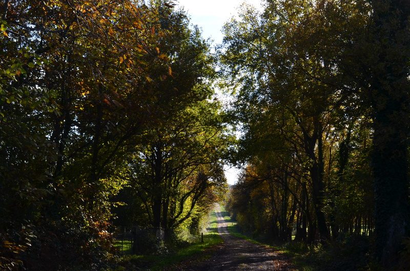 Circuit des Landes (Ste-Anne-sur-Brivet)