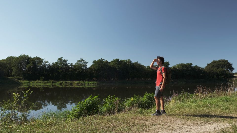 Etang de la Beusse - Sainte-Pazanne_1